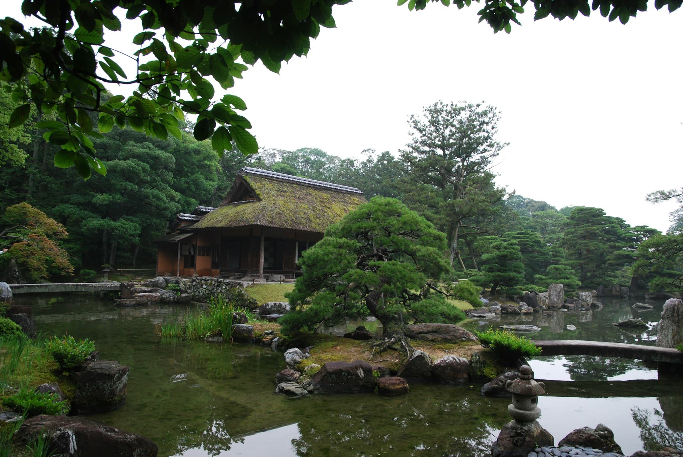 A traditional garden in Kyoto with a pond, shaped pines, and a moss-covered pavilion